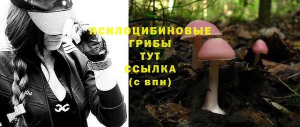 герыч Бородино