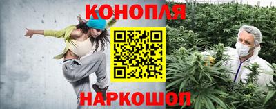 спиды Малгобек